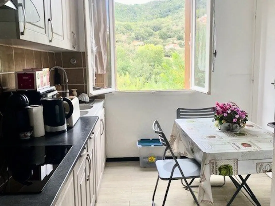 Location de Vacances Amélie-les-Bains-Palalda 271