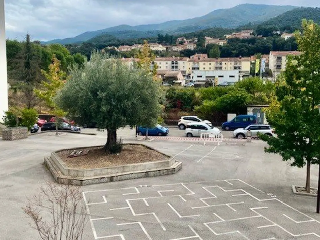 Location de Vacances Amélie-les-Bains-Palalda 271