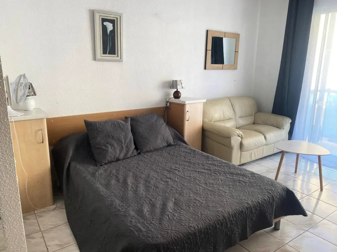 Location de Vacances Amélie-les-Bains-Palalda 272