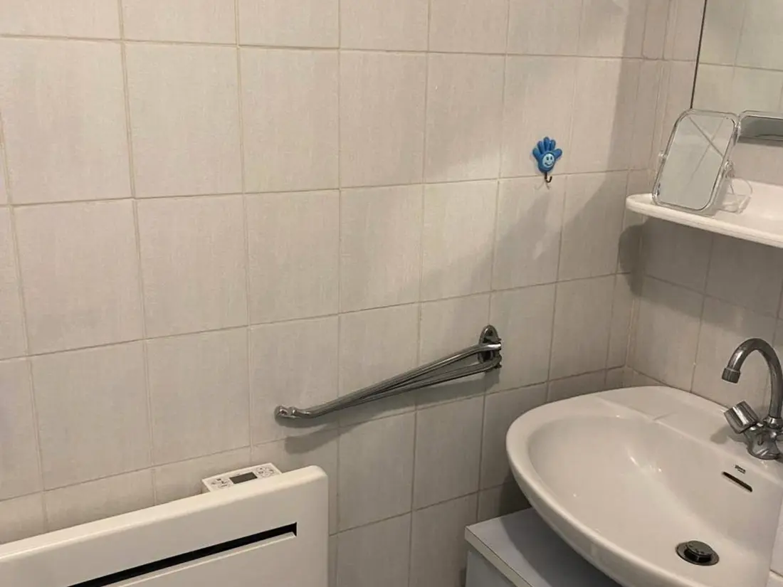 Location de Vacances Amélie-les-Bains-Palalda 272