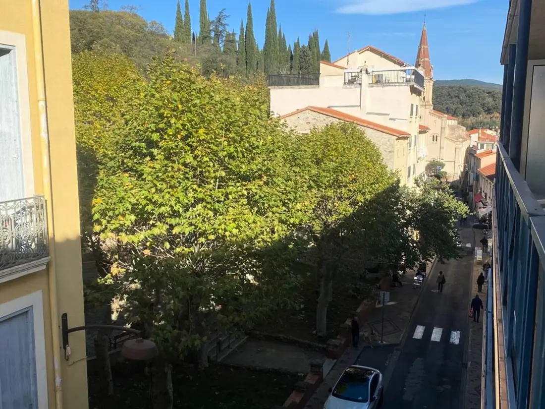 Location de Vacances Amélie-les-Bains-Palalda 272