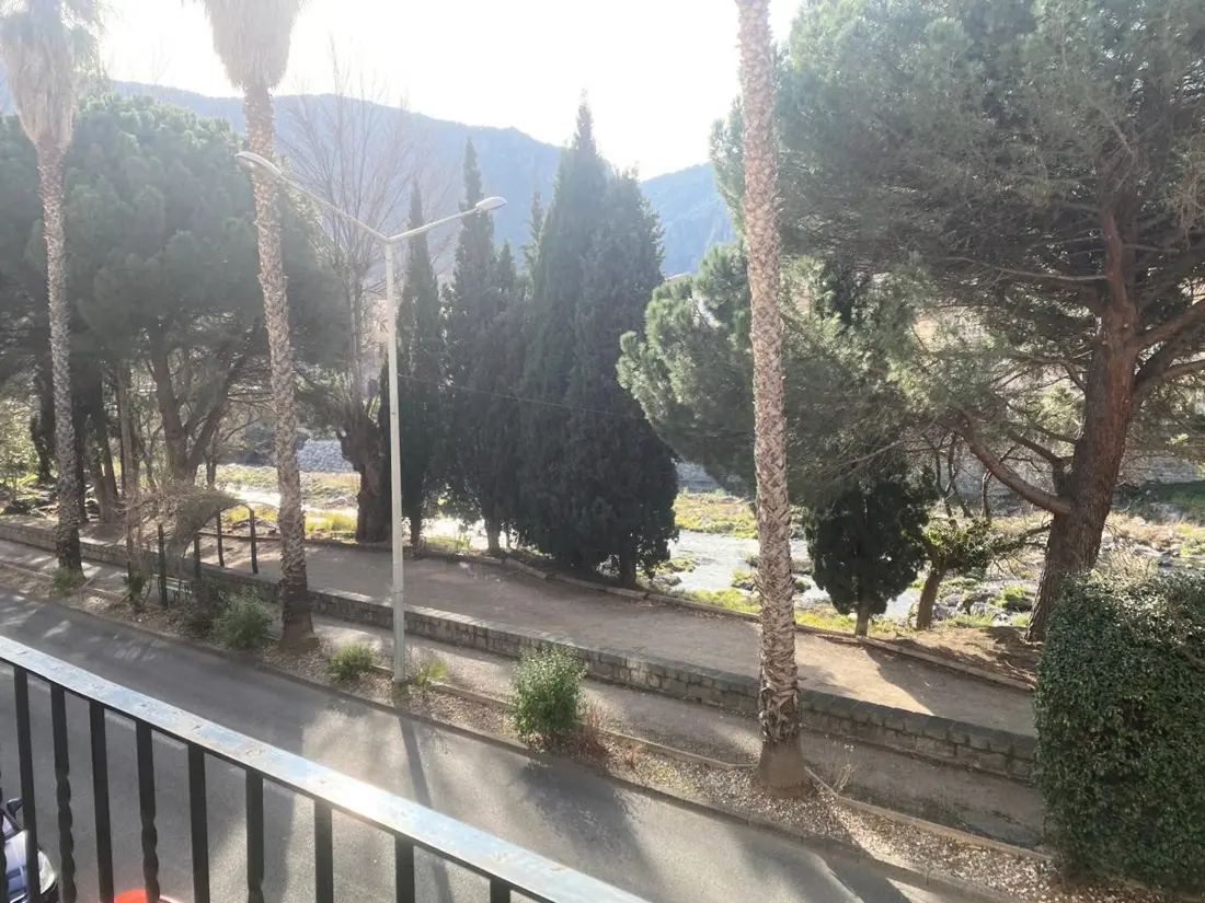 Location de Vacances Amélie-les-Bains-Palalda 274