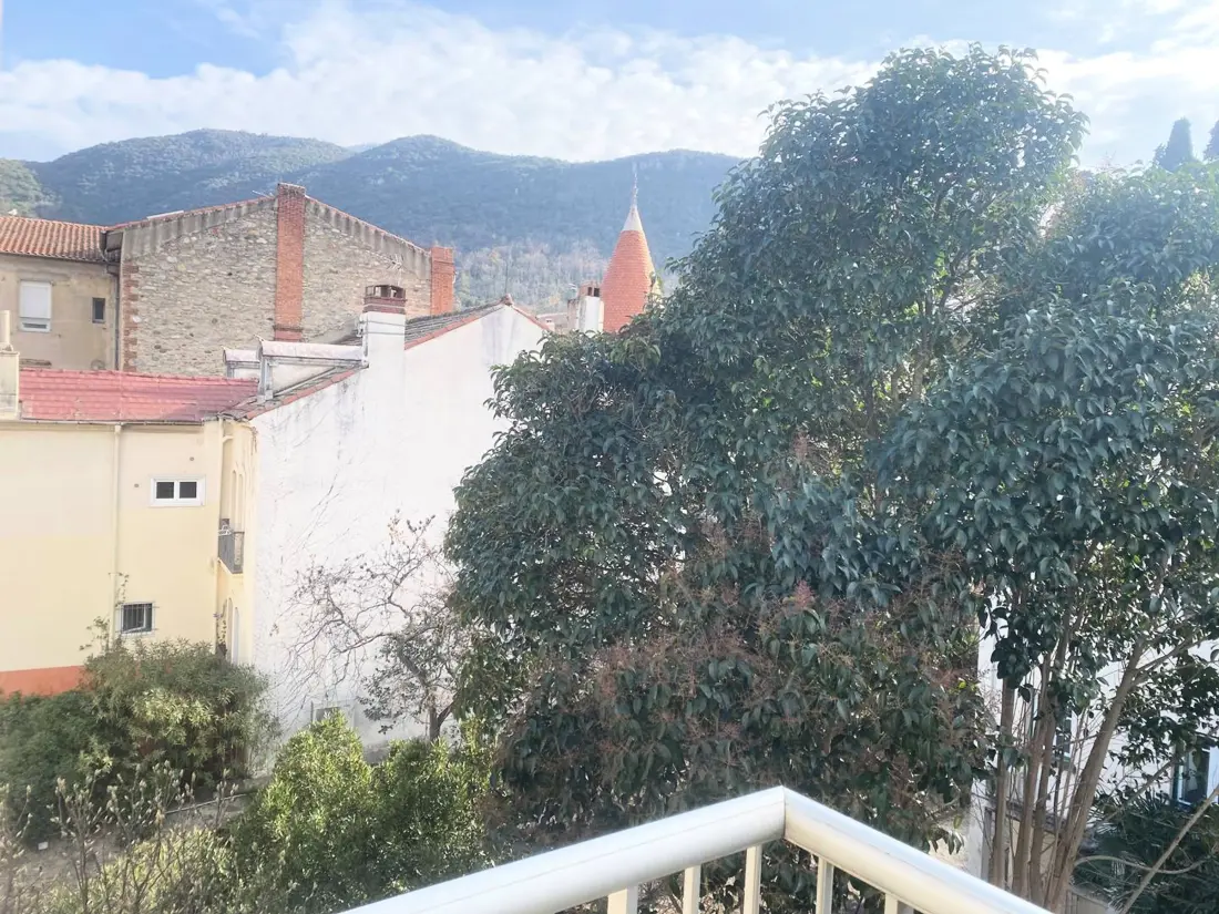 Location de Vacances Amélie-les-Bains-Palalda 277