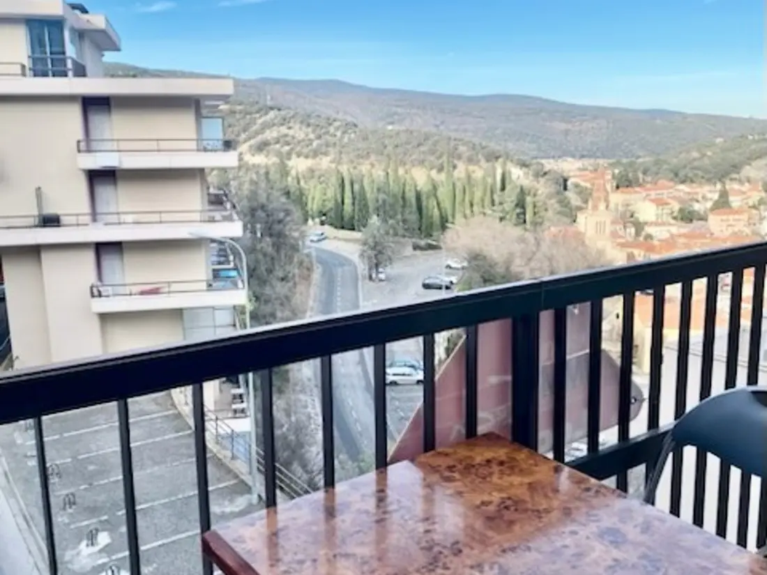 Location de Vacances Amélie-les-Bains-Palalda 288
