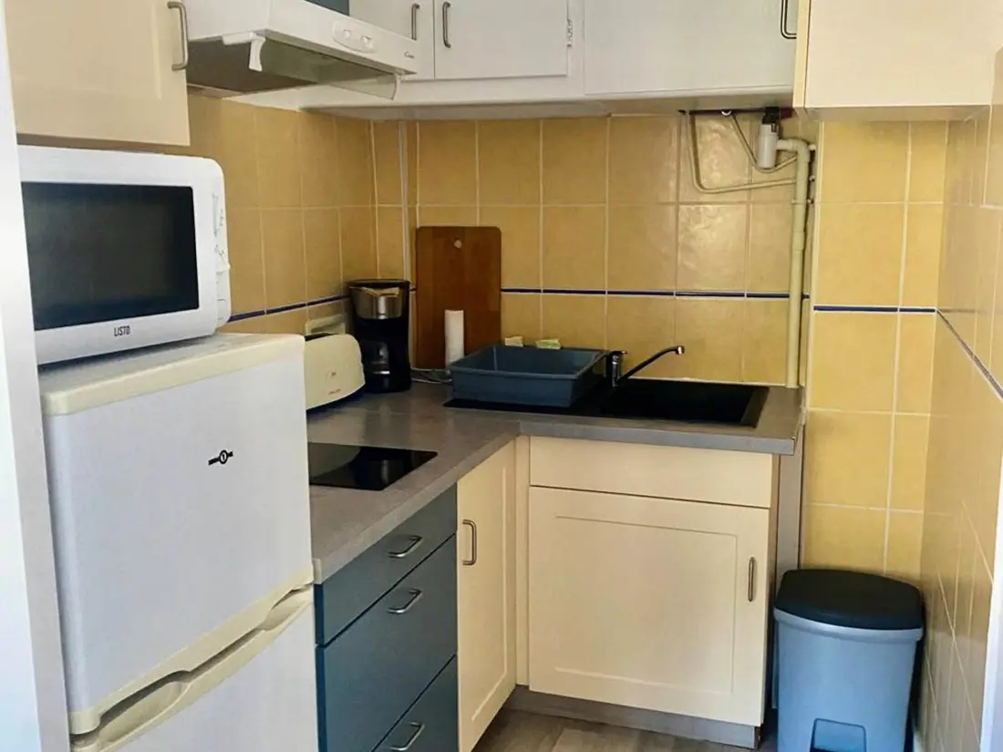 Location de Vacances Amélie-les-Bains-Palalda 294