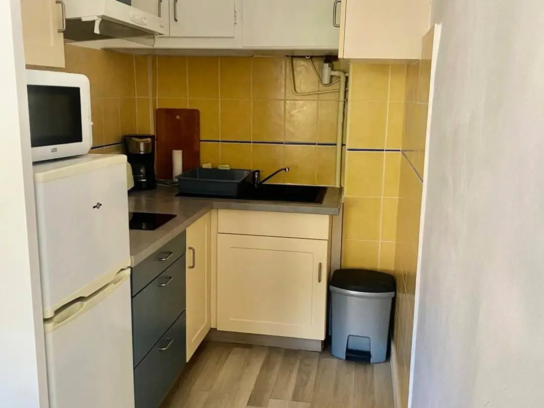 Location de Vacances Amélie-les-Bains-Palalda 294
