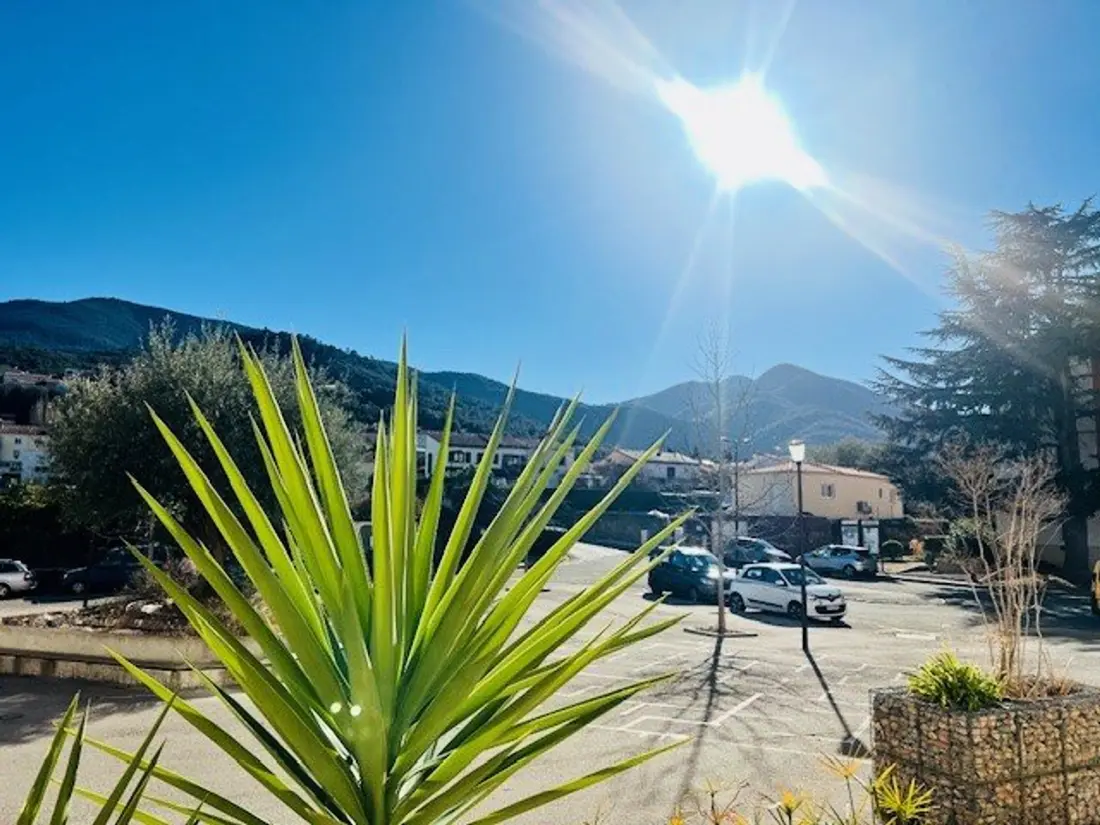 Location de Vacances Amélie-les-Bains-Palalda 295