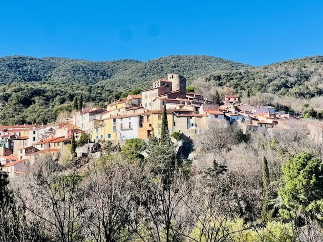 Location de Vacances Amélie-les-Bains-Palalda 295
