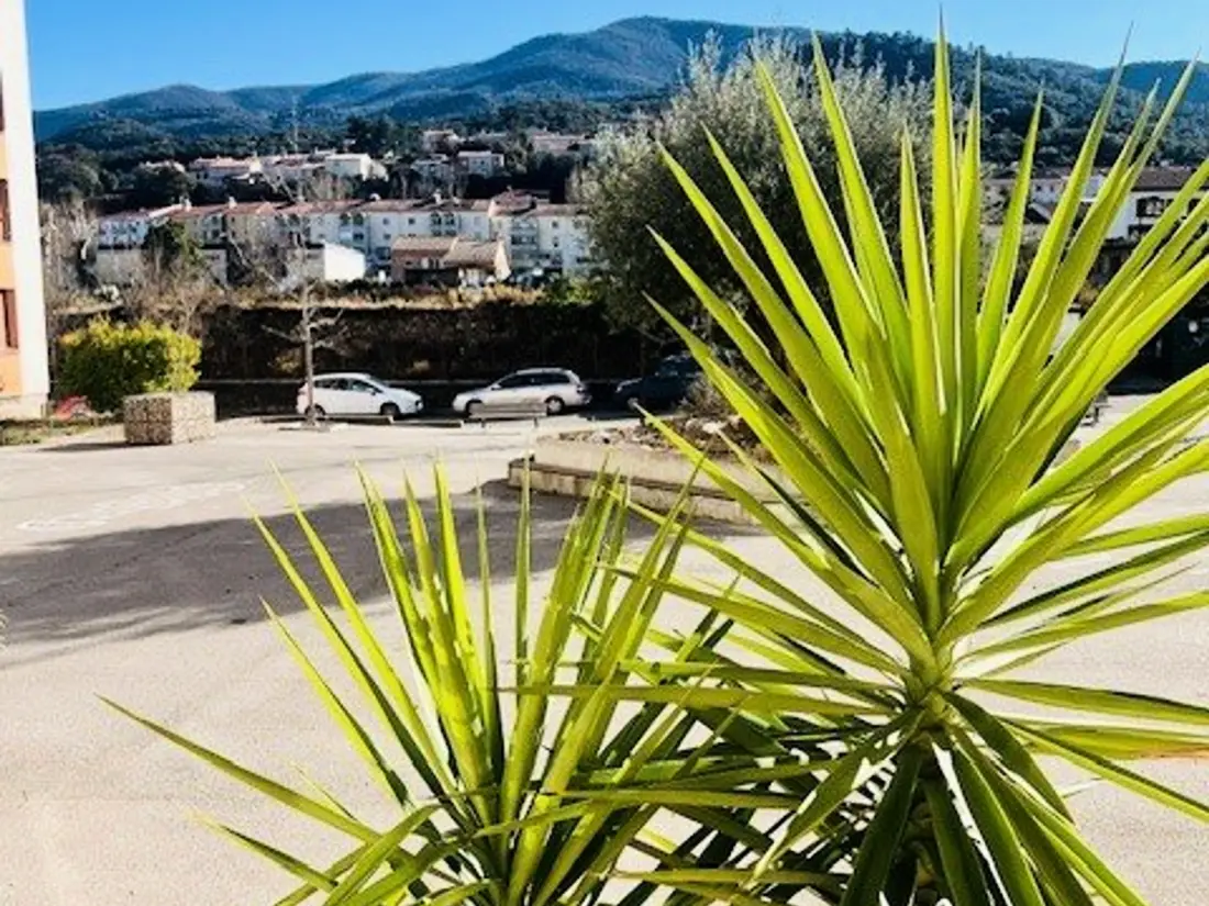 Location de Vacances Amélie-les-Bains-Palalda 295