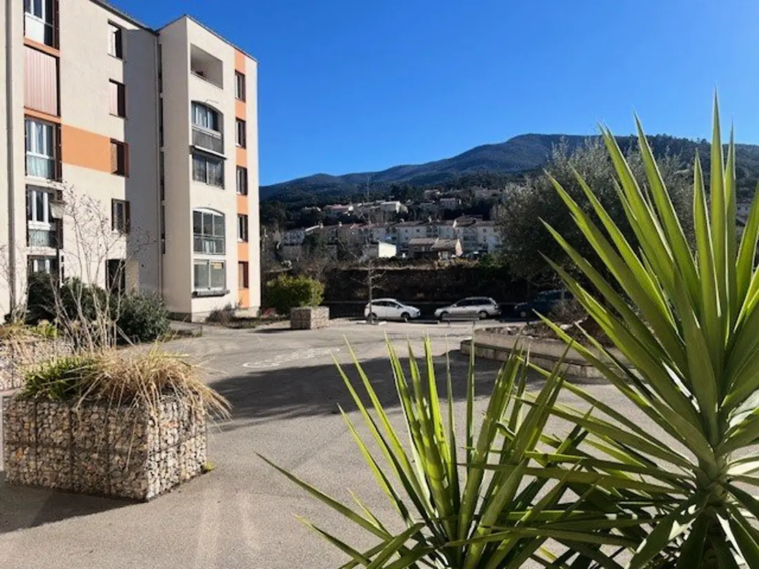 Location de Vacances Amélie-les-Bains-Palalda 295