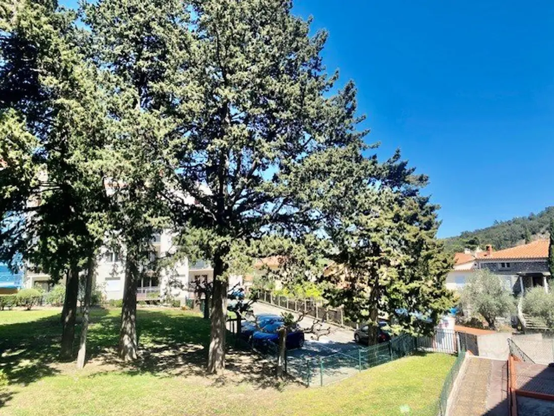 Location de Vacances Amélie-les-Bains-Palalda 296
