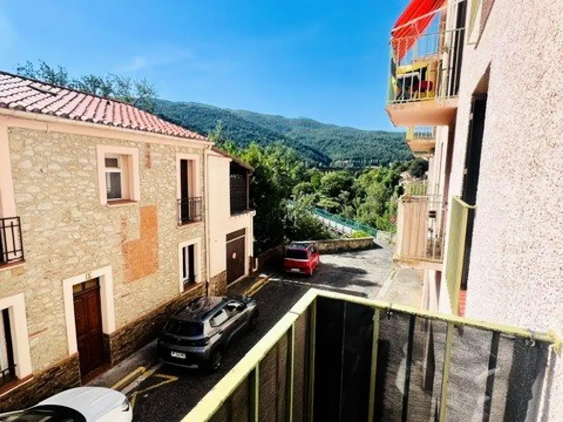 Location de Vacances Amélie-les-Bains-Palalda 298