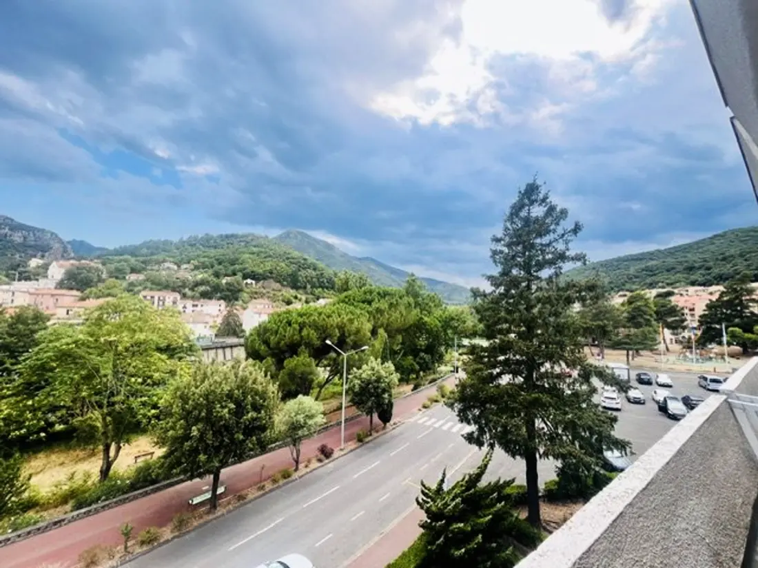 Location de Vacances Amélie-les-Bains-Palalda 299