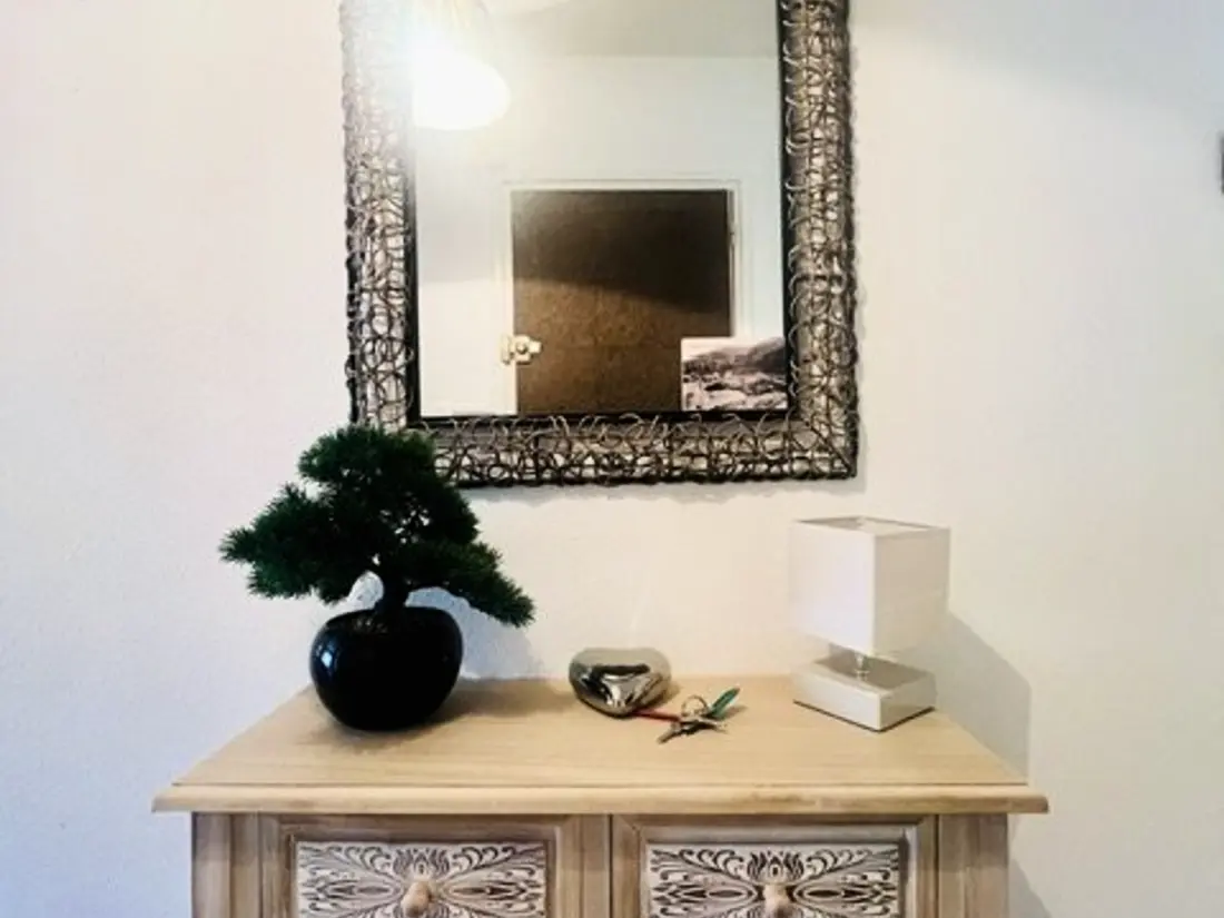 Location de Vacances Amélie-les-Bains-Palalda 299