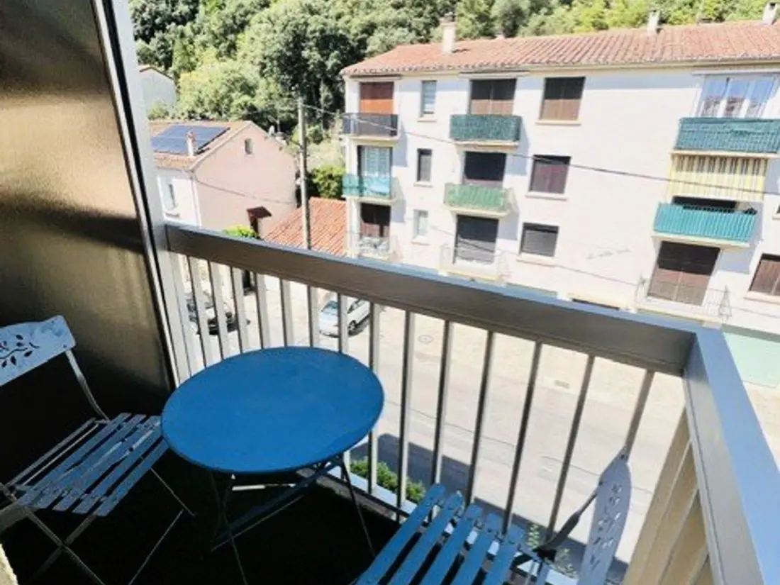 Location de Vacances Amélie-les-Bains-Palalda 300