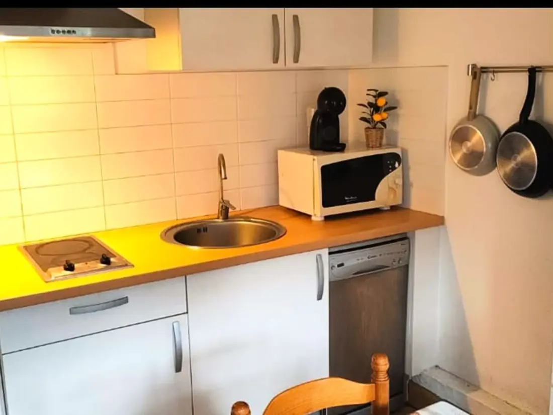Location de Vacances Amélie-les-Bains-Palalda 301