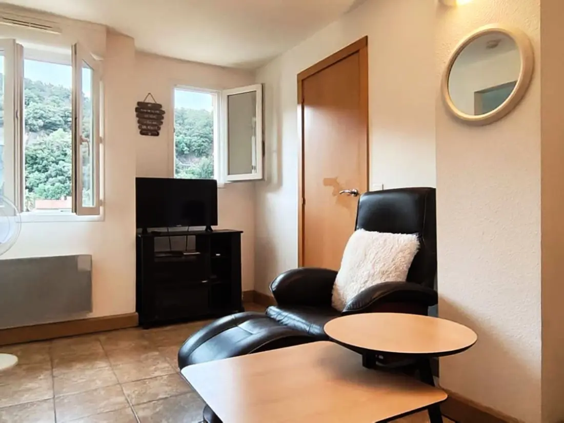 Location de Vacances Amélie-les-Bains-Palalda 301