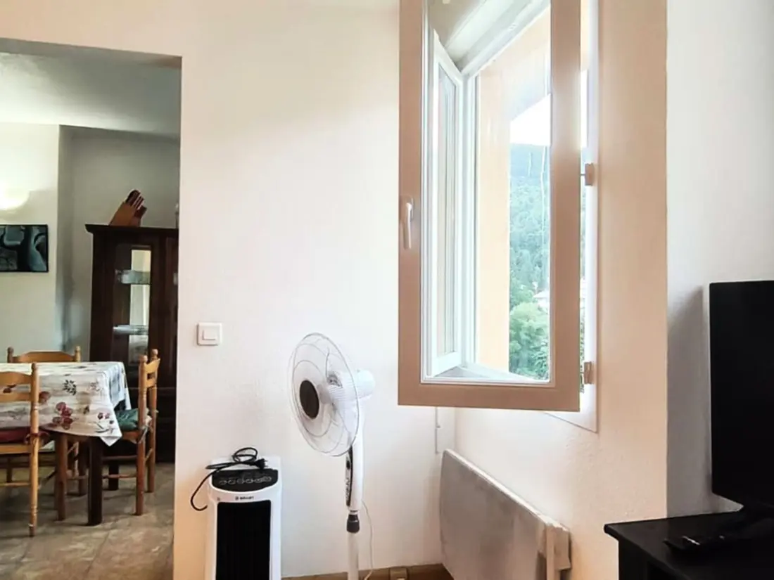 Location de Vacances Amélie-les-Bains-Palalda 301