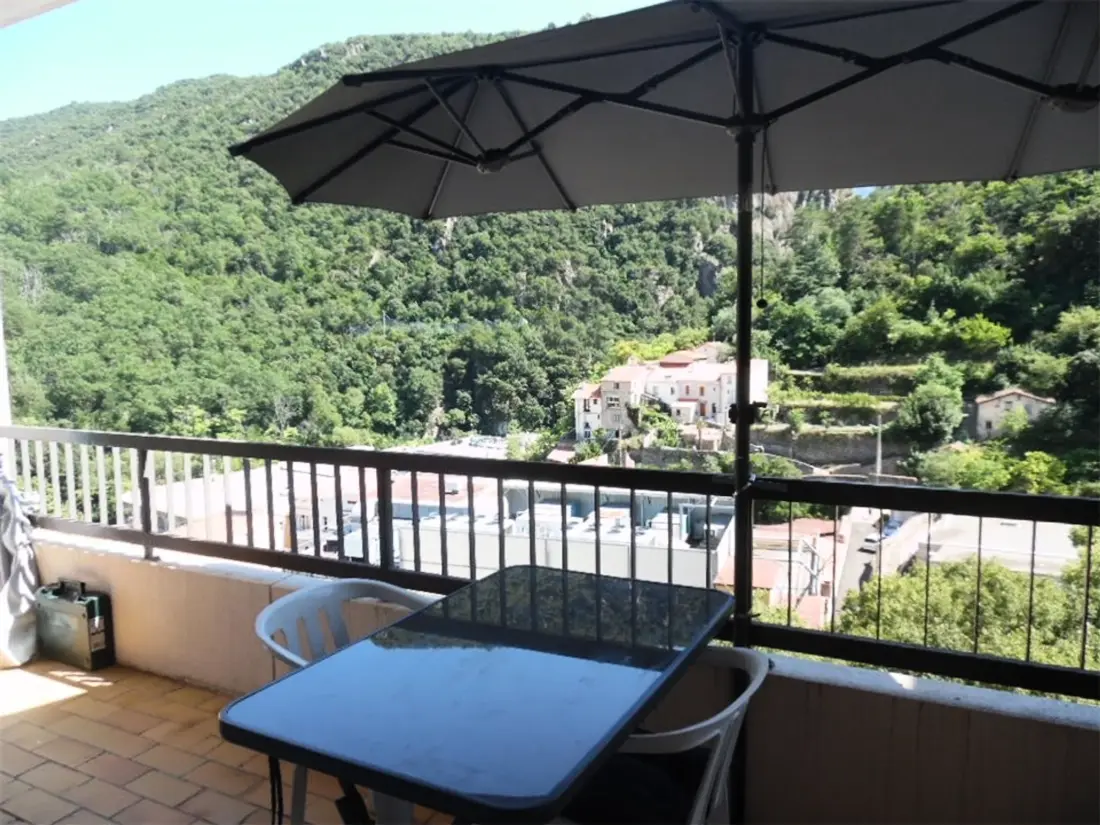 Location de Vacances Amélie-les-Bains-Palalda 85