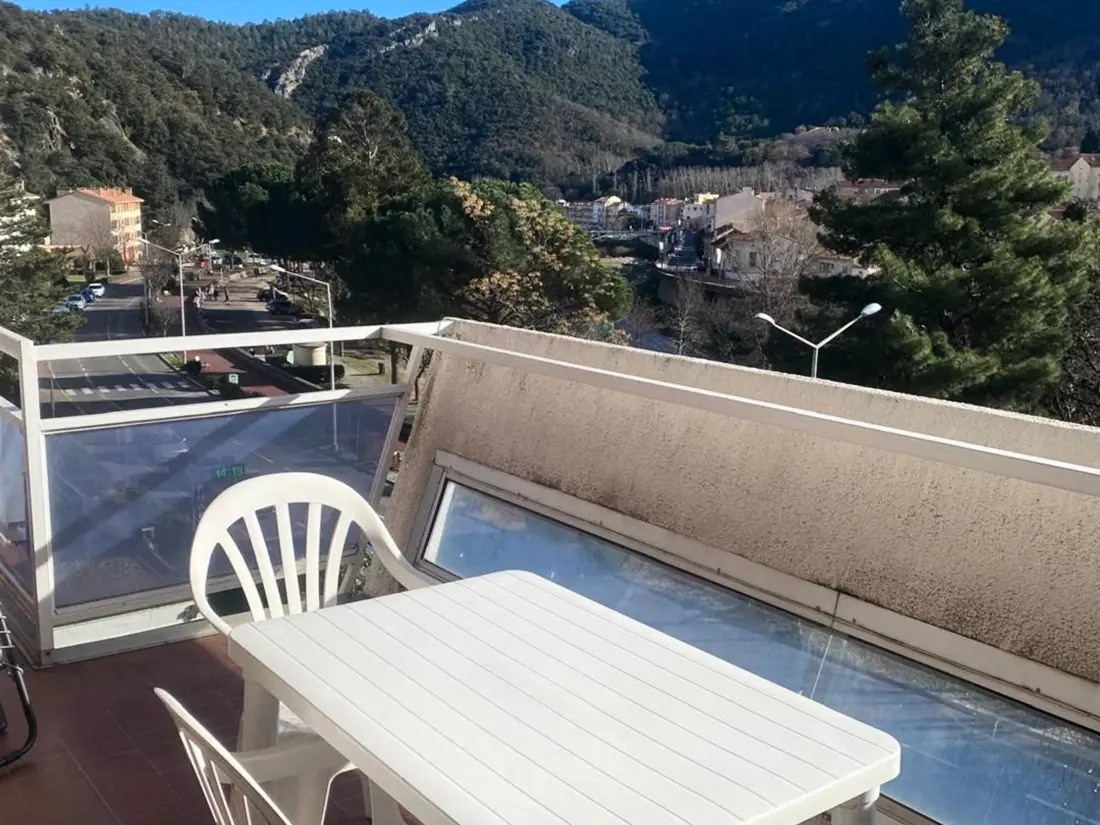 Location de Vacances Amélie-les-Bains-Palalda 87