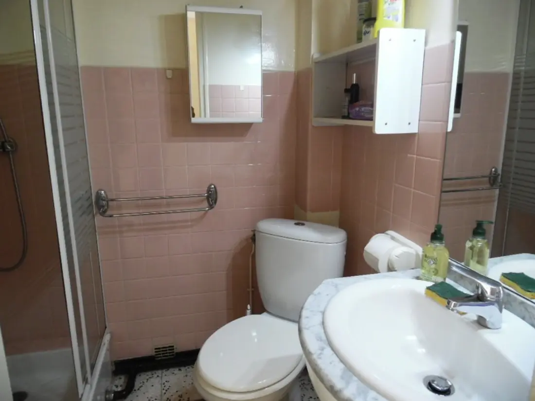 Location de Vacances Amélie-les-Bains-Palalda 95