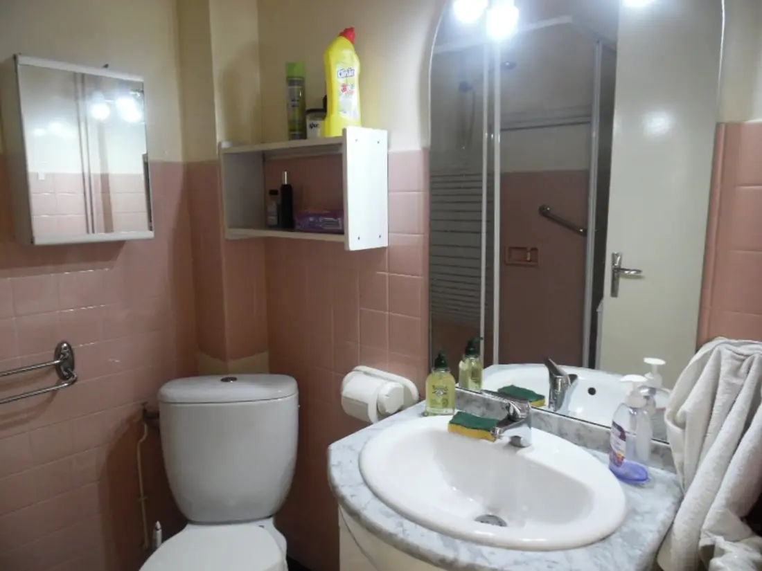 Location de Vacances Amélie-les-Bains-Palalda 95