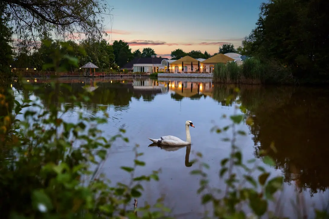 Domaine Limburgse Peel Center Parcs
