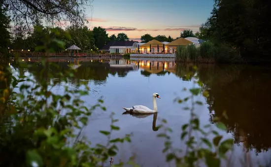Domaine Limburgse Peel Center Parcs
