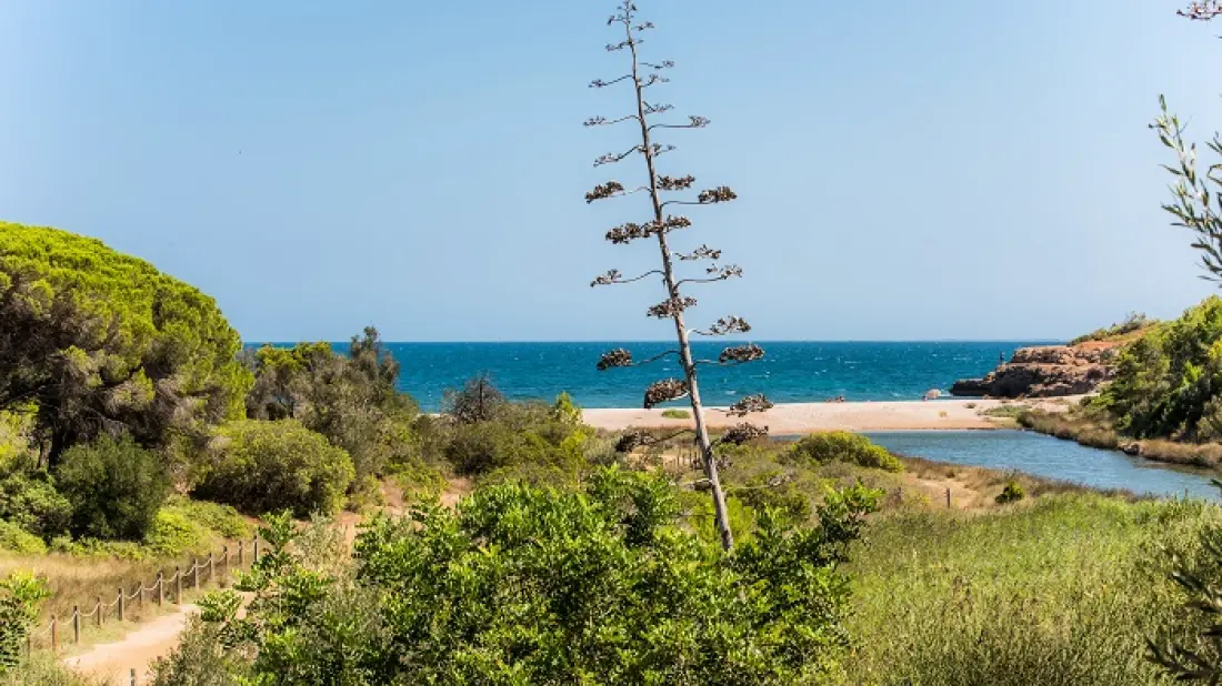 Camping Ametlla3 étoiles★★★