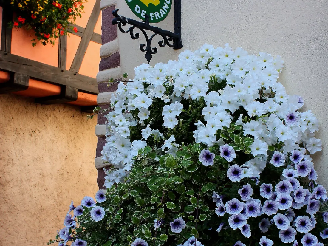 Maison de Vacances Ammerschwihr 5