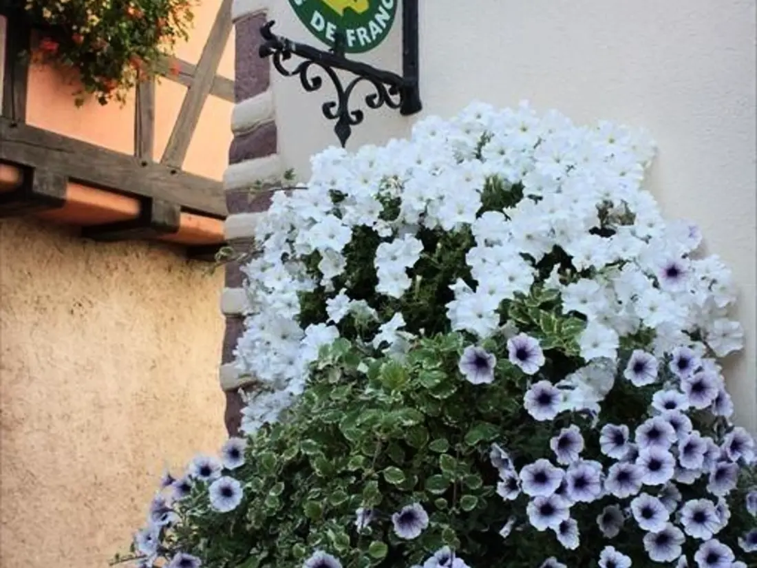 Maison de Vacances Ammerschwihr 6