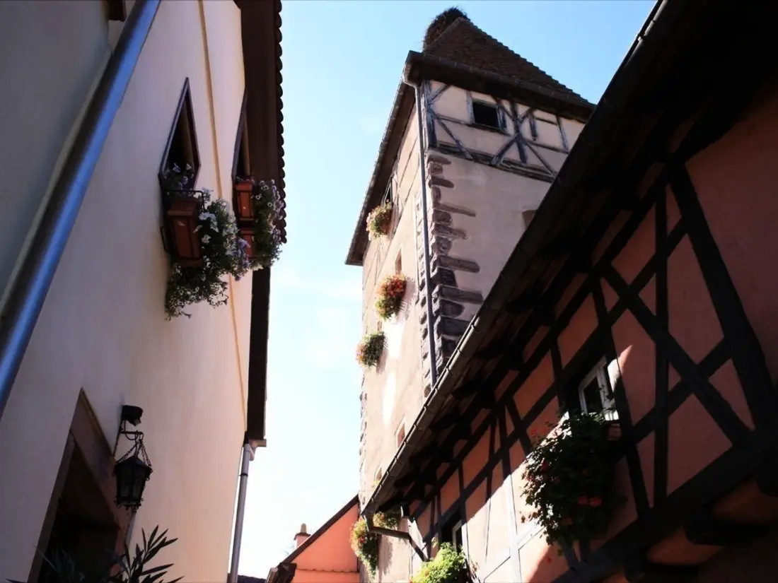 Maison de Vacances Ammerschwihr 6