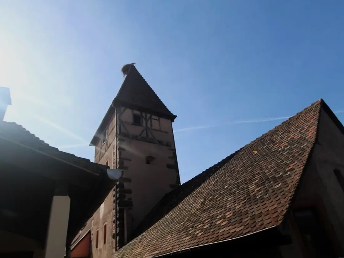 Maison de Vacances Ammerschwihr 6