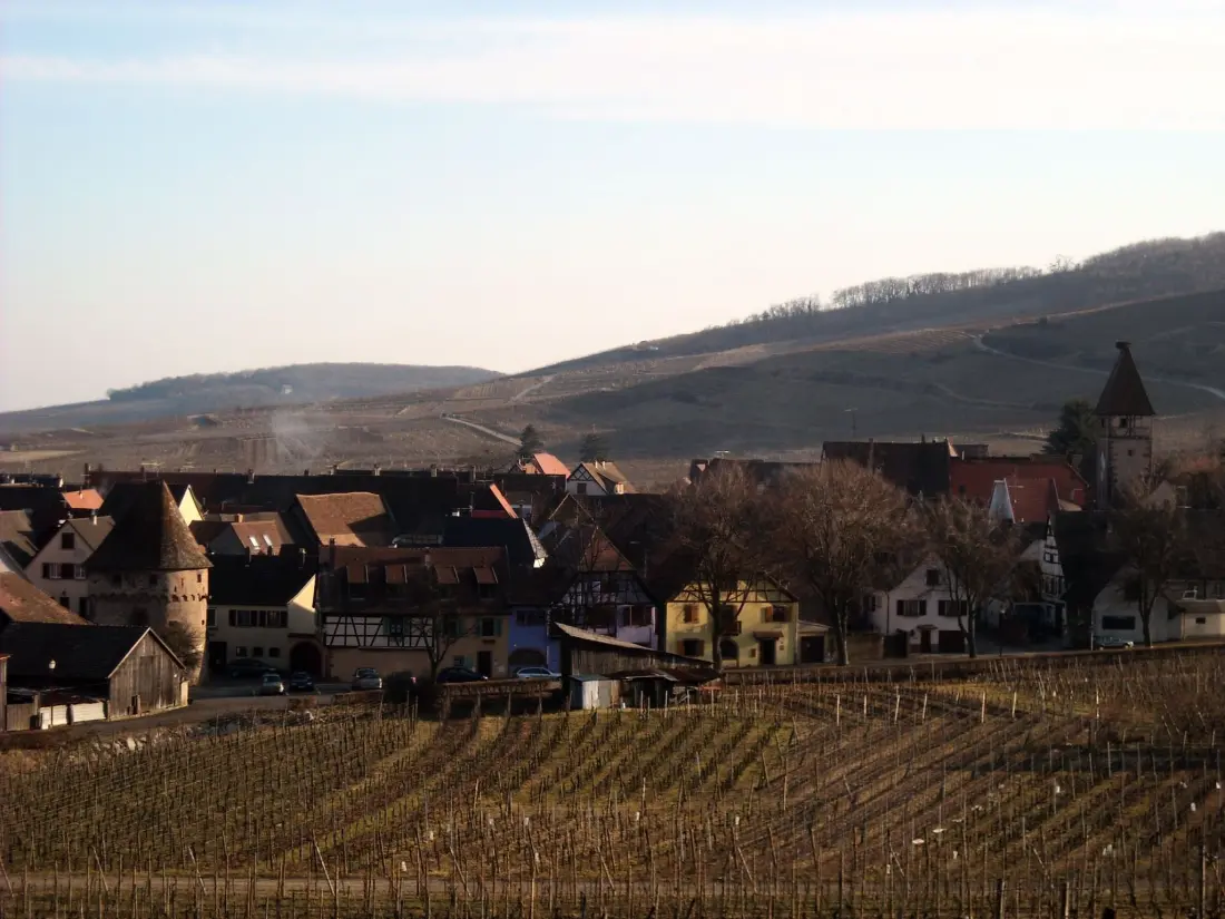 Maison de Vacances Ammerschwihr