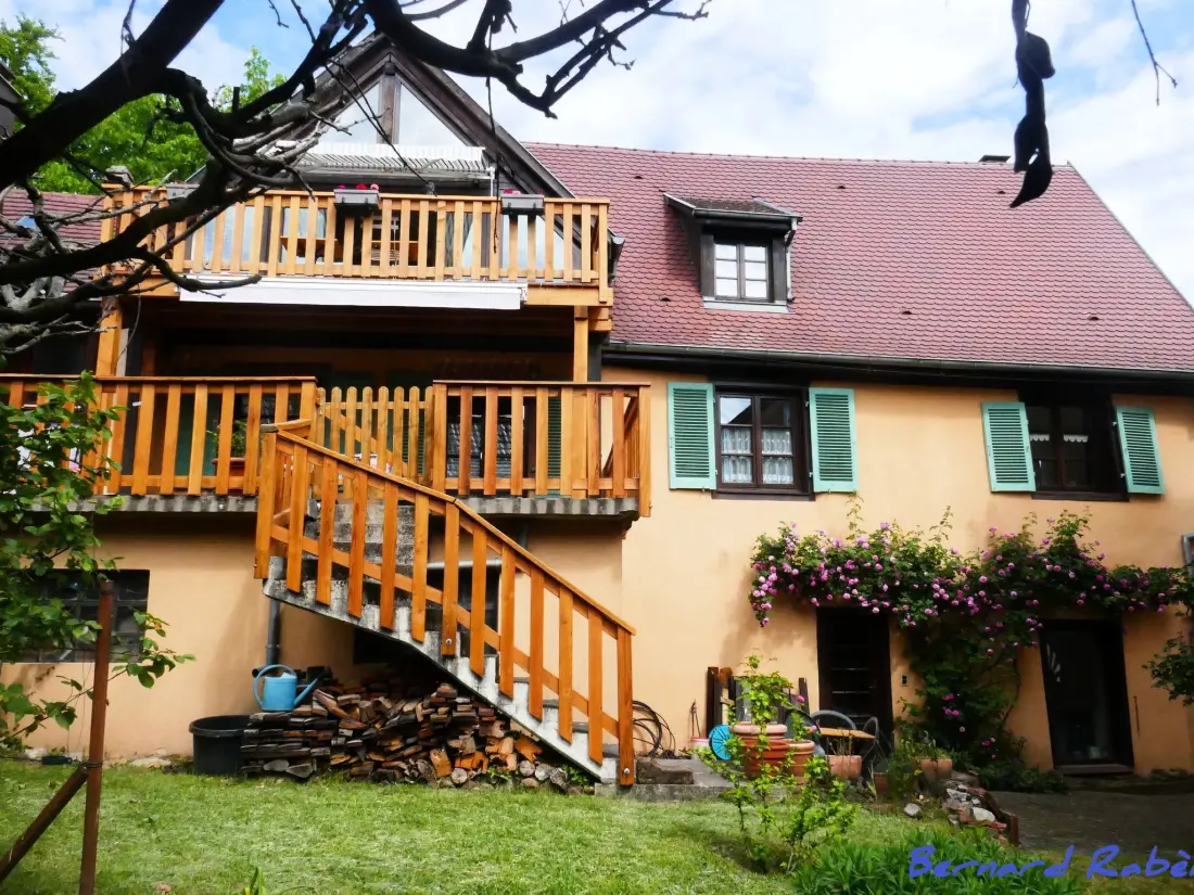 Résidence 1ed-Face Vosges,au Sud,coeur Vignoble,Calme,WiFi