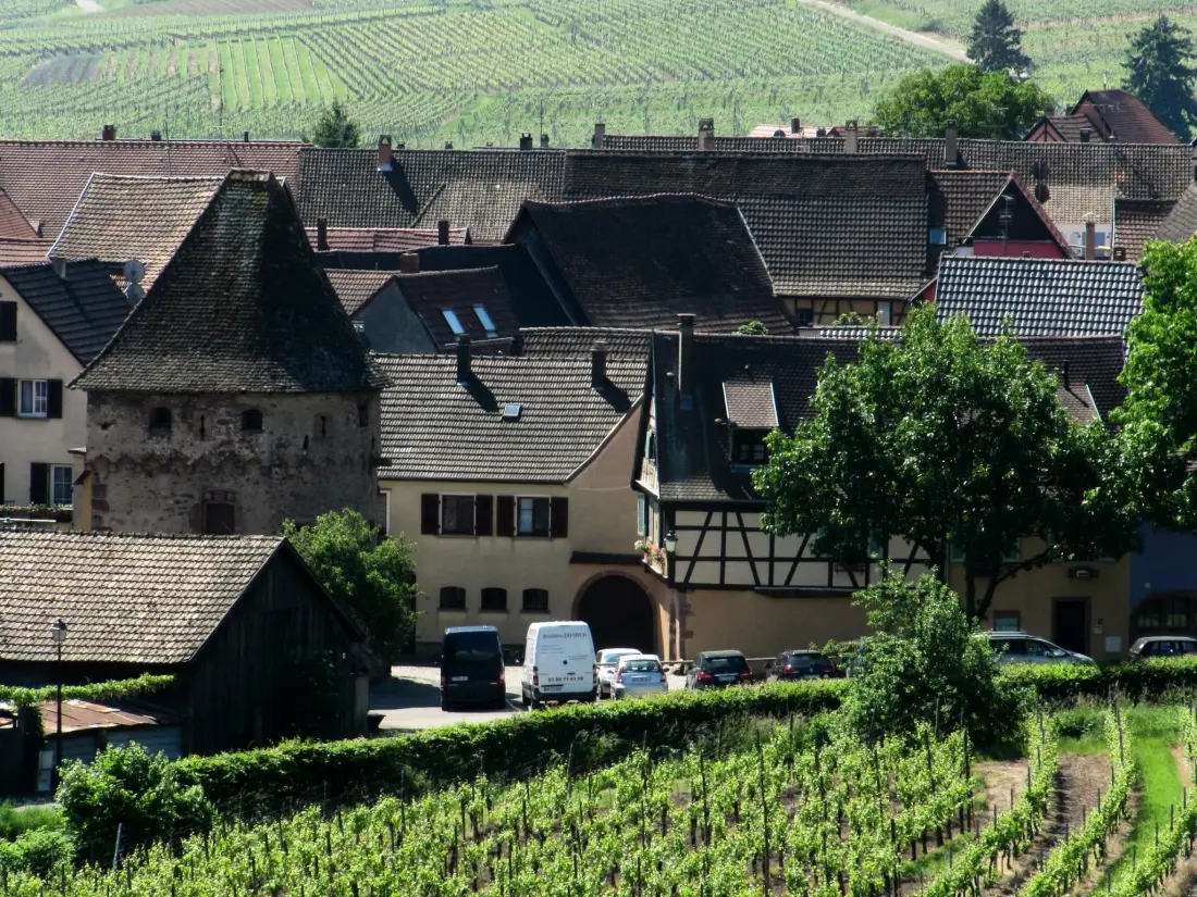 Résidence 1ed-Face Vosges,au Sud,coeur Vignoble,Calme,WiFi