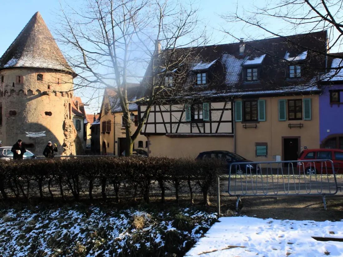 Résidence 1ed-Face Vosges,au Sud,coeur Vignoble,Calme,WiFi