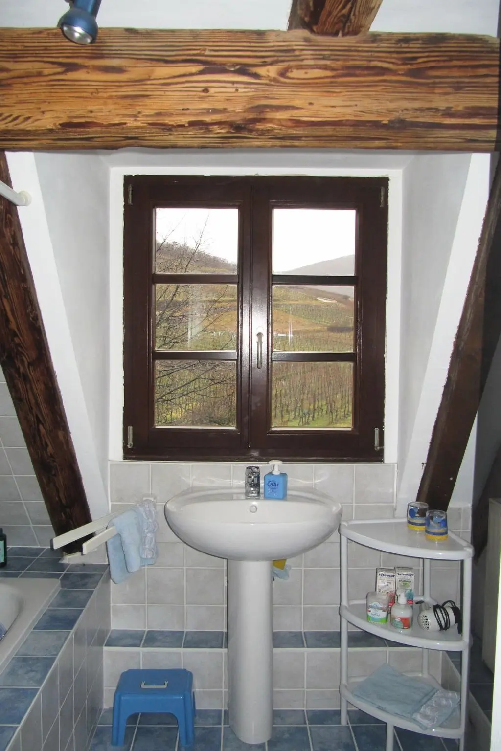 Résidence 2ed-Face Vosges,im Süden,Herz Weinberg,Ruhig,WiFi