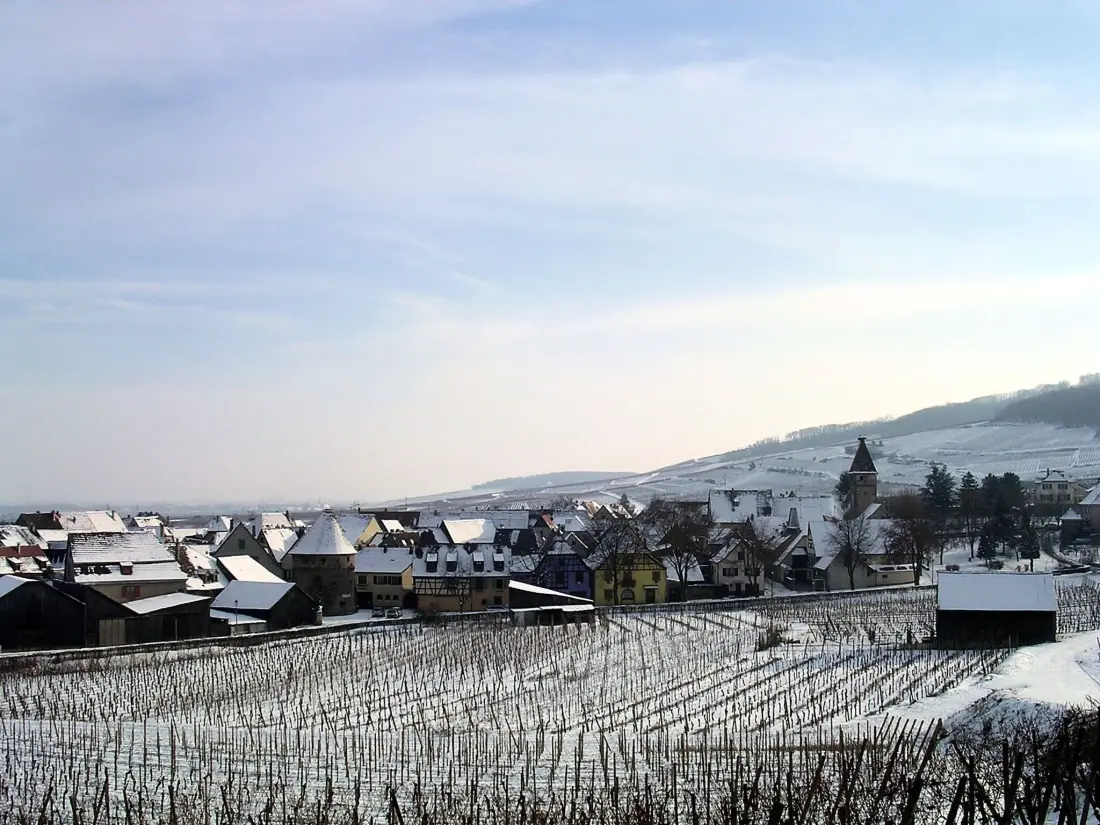 Résidence 2ed-Face Vosges,im Süden,Herz Weinberg,Ruhig,WiFi