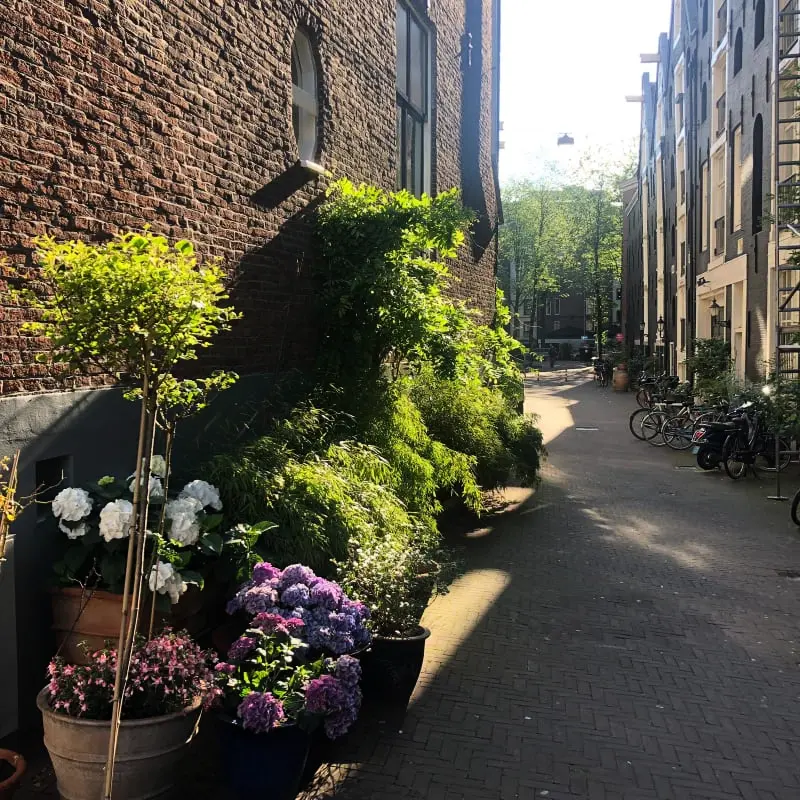 Studio Koggeschip Amsterdam Bb
