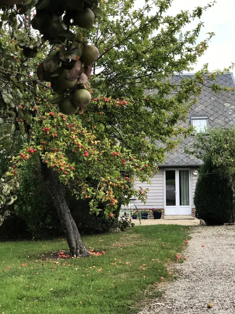 Gîte de France Gîtes de france® - l'éternité n'est pas de trop 3 épis