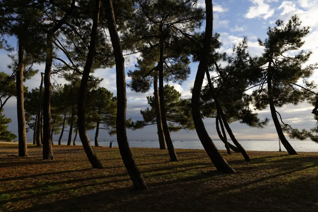Chalets à Andernos-les-Bains