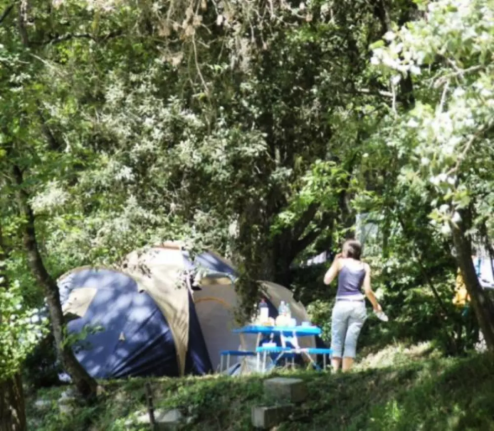 Camping Paradis Domaine de Gaujac4 étoiles★★★★