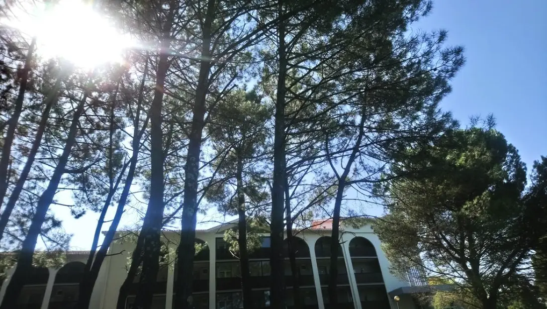 Résidence Anglet Biarritz Parme3 étoiles★★★