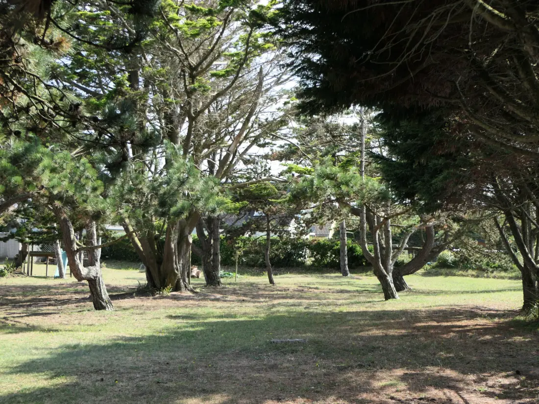 Maison de Vacances Anneville-sur-Mer