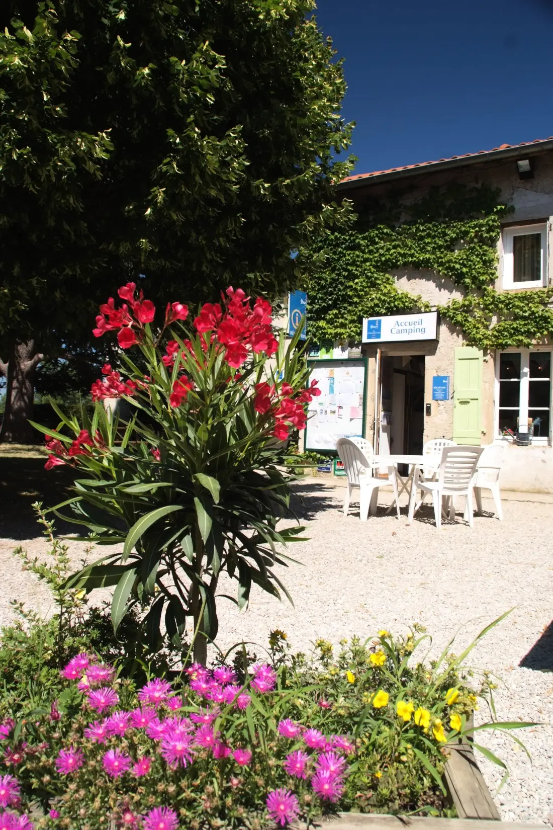 Flower Camping La Chataigneraie 4 étoiles★★★★