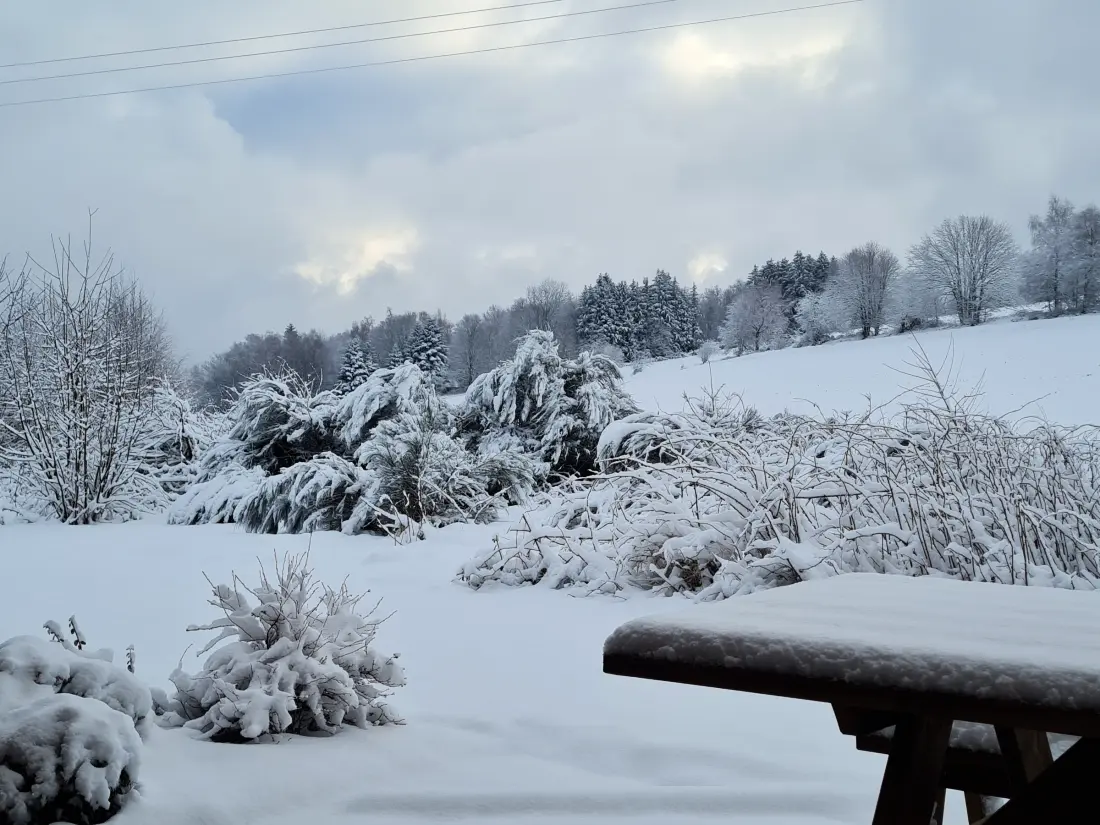 Maison de Vacances Anould 12