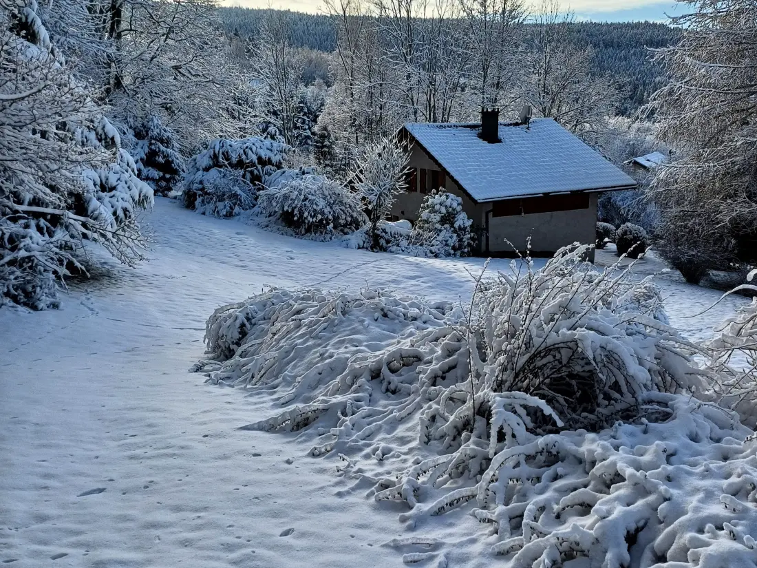Maison de Vacances Anould 3