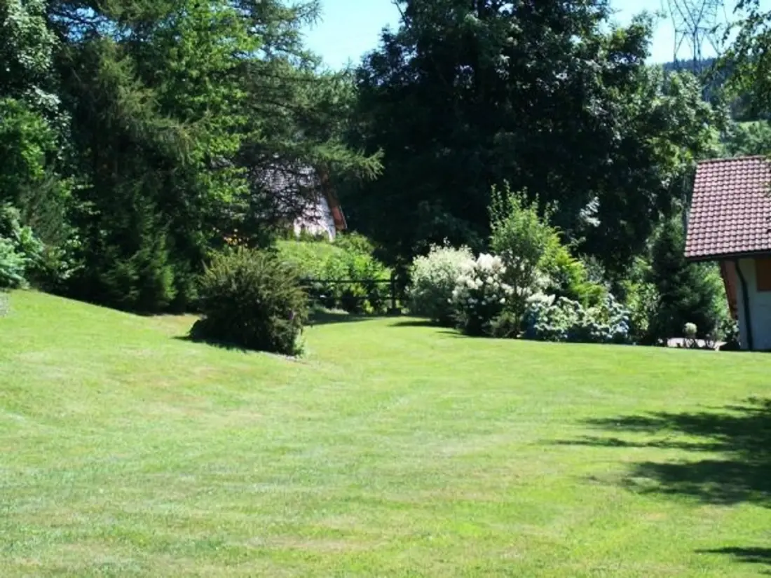 Maison de Vacances Anould 3