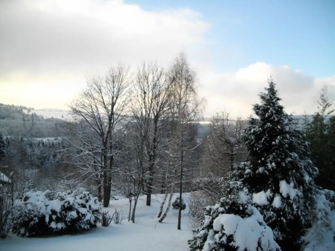 Maison de Vacances Anould 3